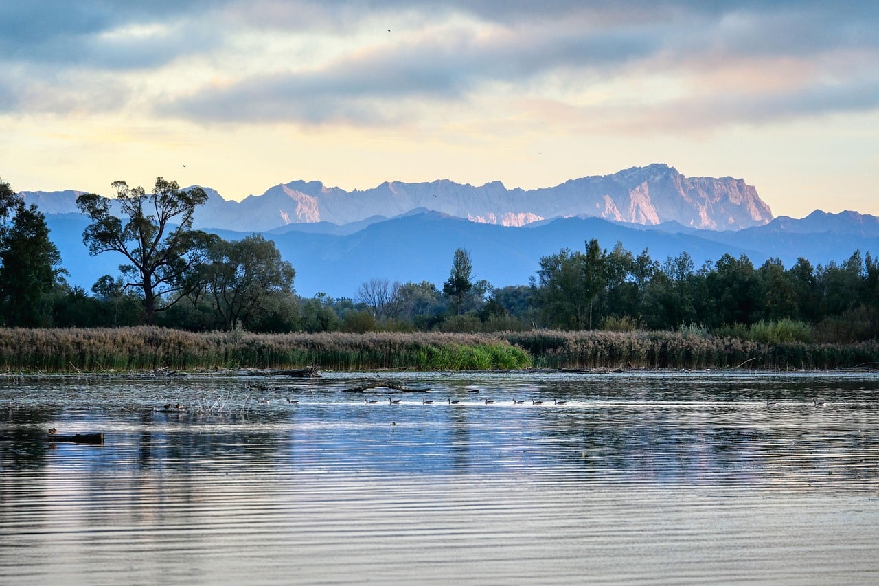 lake, ammersee, germany, bavaria, riverbank, landscape, alps, mountains, forest, nature